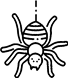 Spiders